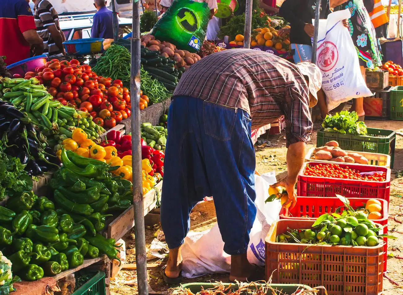 Local market in Tamraght Morocco with fresh vegetables and everyday village life near the coast
